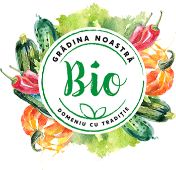 Bio