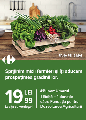 Carrefour lansează un produs sezonier cu legume proaspete, la un preț unic,  pentru a susține micii producători agricoli